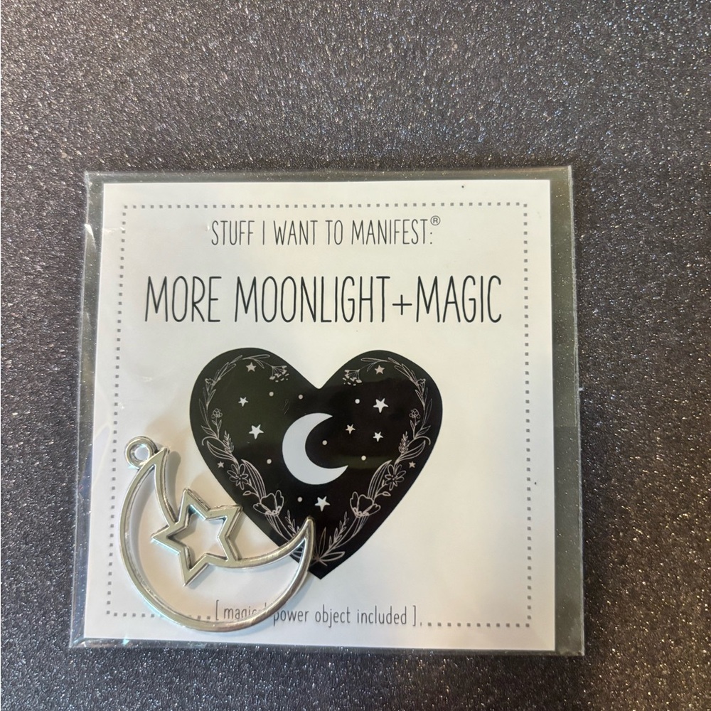 Silver Moon and Star Brooch